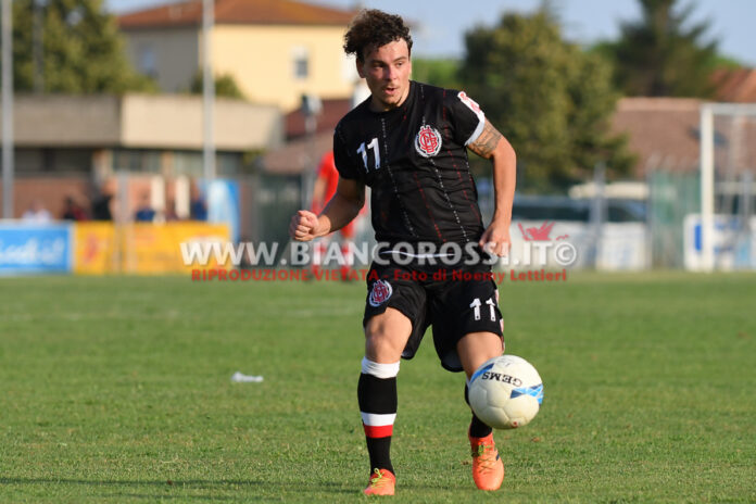 Camilli (5)