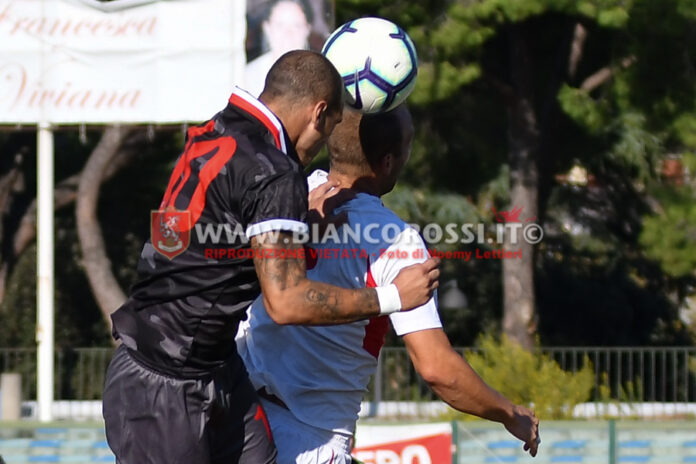 DSC 4153